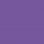 Violett - Pantone 2077 U*
