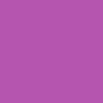 Cerise - Pantone Purple 4*