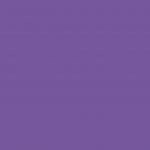 violet - pantone color 2077 U*